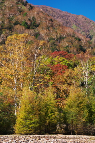 a0263109_14054993.jpg