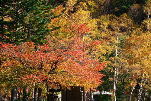 a0263109_14083366.jpg