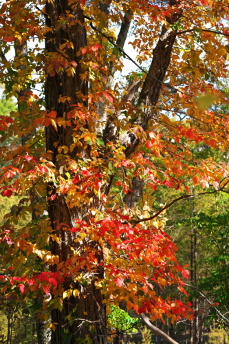 a0263109_14083551.jpg