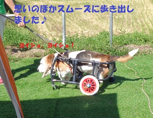 f0121712_21174164.jpg