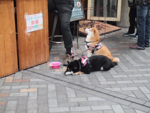 名古屋をウロウロ_d0295818_23120817.jpg