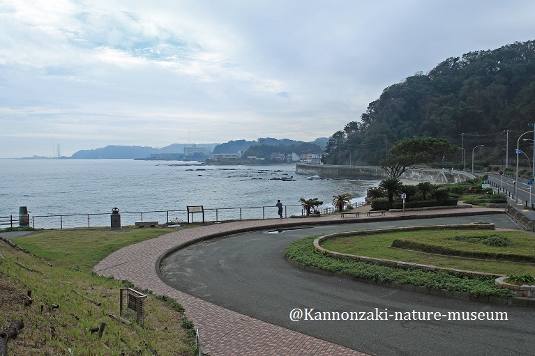 天気がすぐれない今日この頃_a0386621_13182618.jpg