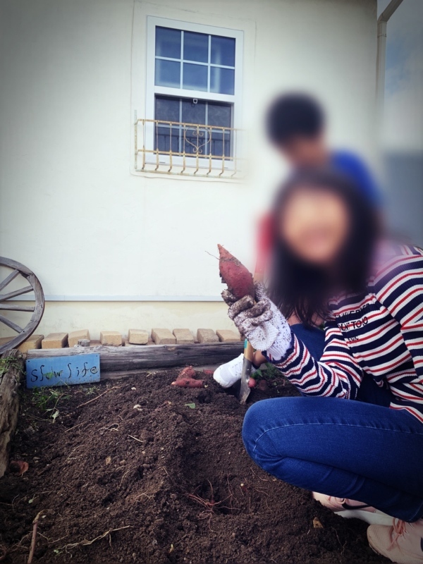 Order sign plate  と芋掘り_d0374724_08512880.jpeg