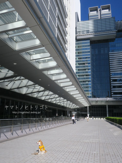 名駅_e0394031_07421205.jpg
