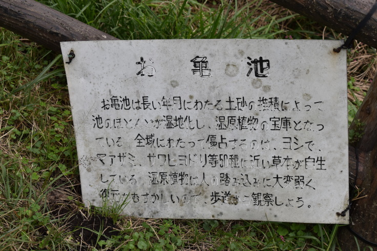 第30回 日本緑内障学会 その13(1176) モーニングセミナー _f0088231_08151569.jpg