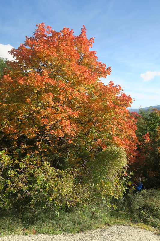 f0234936_7121721.jpg