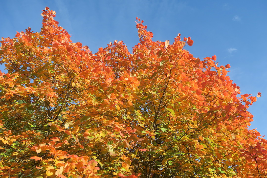 f0234936_7152075.jpg