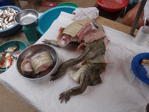 ユリマグアス市場でSUDADO DE PESCADO:魚のシチュー_c0030645_12193565.jpg