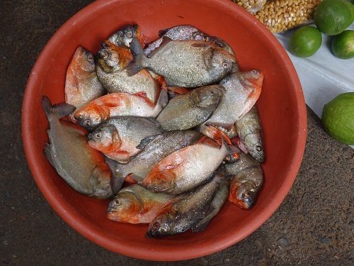 ユリマグアス市場でSUDADO DE PESCADO:魚のシチュー_c0030645_12194378.jpg