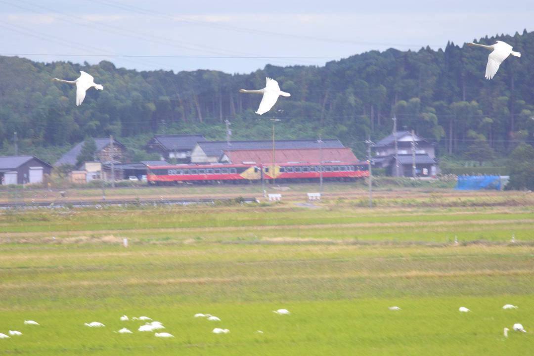 e0403850_07581859.jpg