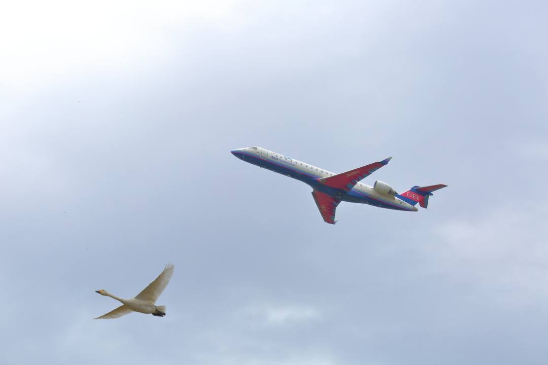 e0403850_07584467.jpg