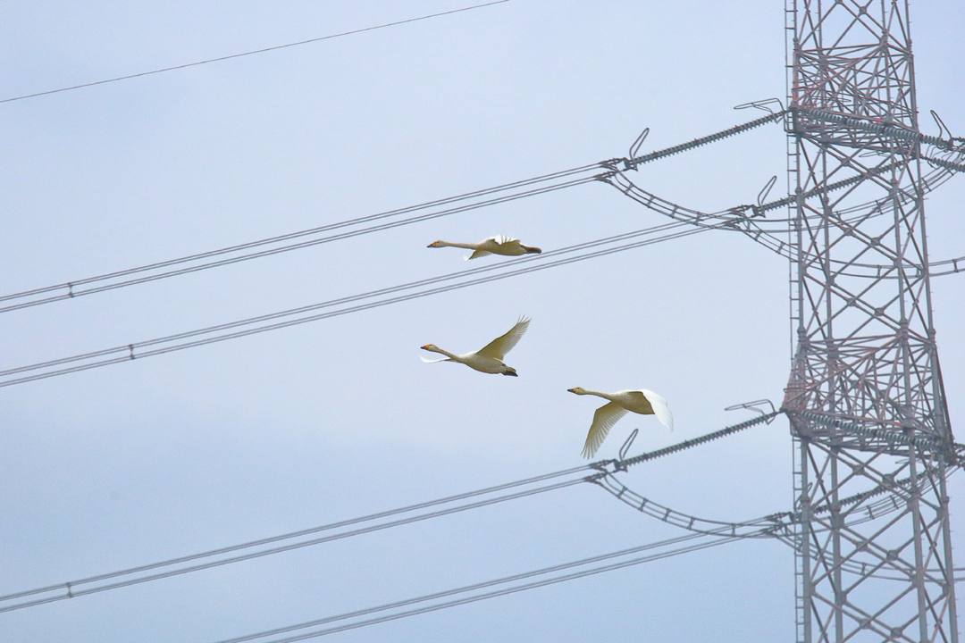 e0403850_07591894.jpg