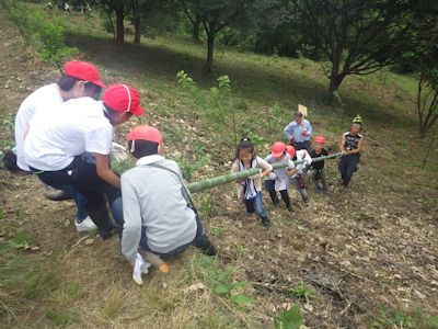 「ゴルファー桜の森」森林教室　仙台市立泉松陵小学校_c0355655_15255373.jpg