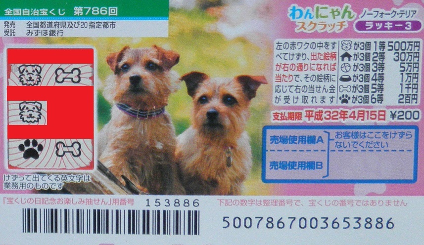 f0070359_17112910.jpg