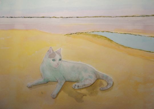 ’19,10,19(土)チェニジアの砂漠の猫!_f0060461_08334522.jpg