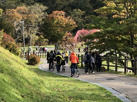紅葉の支笏湖ー千歳ポタリング_b0209862_17361995.jpg