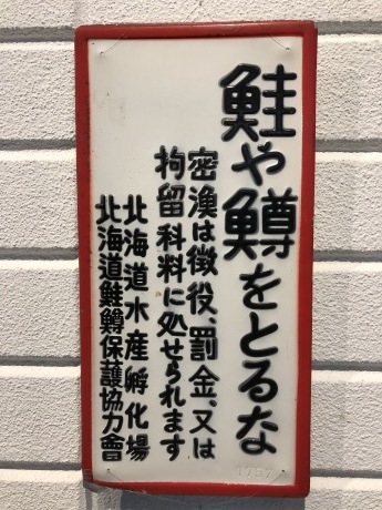 紅葉の支笏湖ー千歳ポタリング_b0209862_17504016.jpg