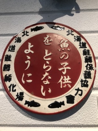 紅葉の支笏湖ー千歳ポタリング_b0209862_17510011.jpg