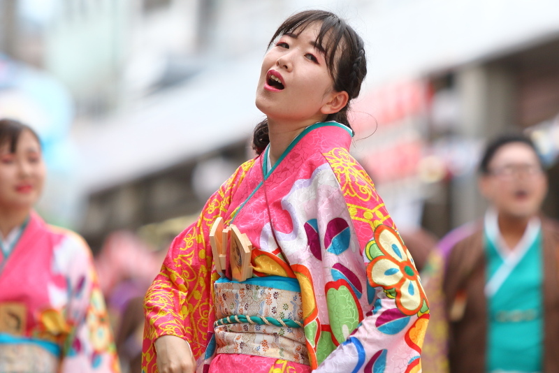 第66回よさこい祭り 本番2日目 愛宕競演場 奈良市役所チーム八重櫻 その1_a0077663_18214620.jpg