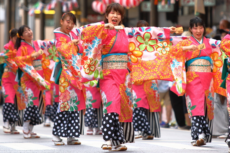 第66回よさこい祭り 本番2日目 愛宕競演場 奈良市役所チーム八重櫻 その1_a0077663_18214657.jpg