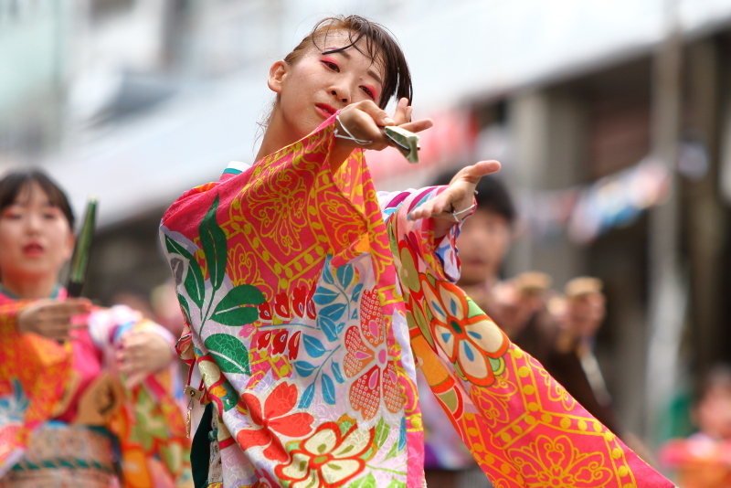 第66回よさこい祭り 本番2日目 愛宕競演場 奈良市役所チーム八重櫻 その1_a0077663_18214660.jpg