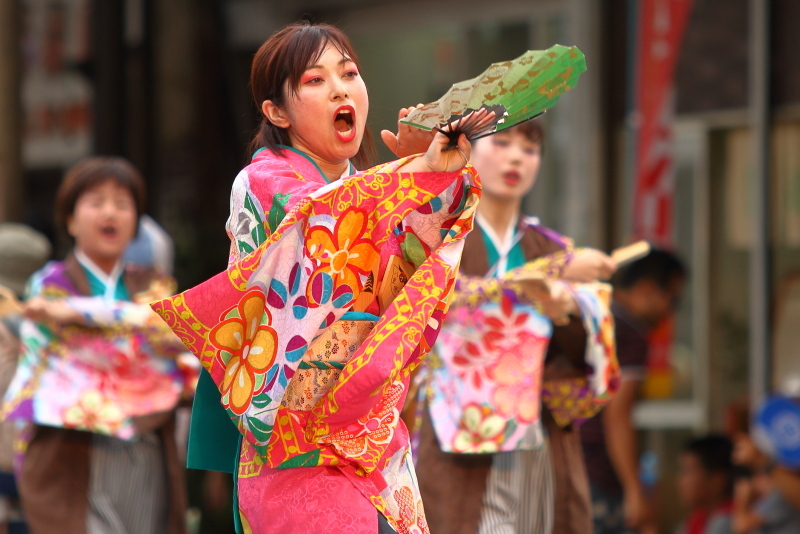 第66回よさこい祭り 本番2日目 愛宕競演場 奈良市役所チーム八重櫻 その1_a0077663_18214664.jpg