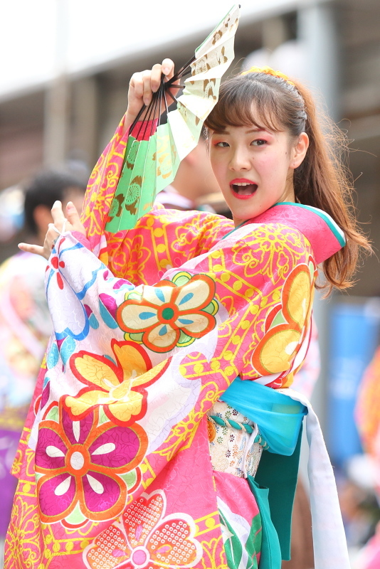 第66回よさこい祭り 本番2日目 愛宕競演場 奈良市役所チーム八重櫻 その1_a0077663_18214720.jpg