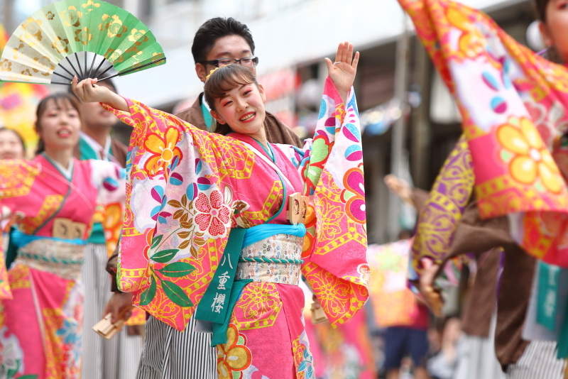第66回よさこい祭り 本番2日目 愛宕競演場 奈良市役所チーム八重櫻 その1_a0077663_18214739.jpg