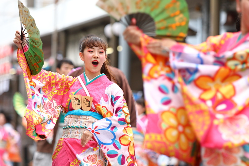 第66回よさこい祭り 本番2日目 愛宕競演場 奈良市役所チーム八重櫻 その1_a0077663_18214770.jpg