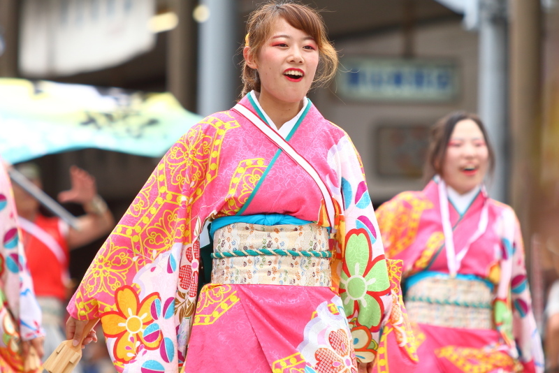 第66回よさこい祭り 本番2日目 愛宕競演場 奈良市役所チーム八重櫻 その2_a0077663_18240561.jpg