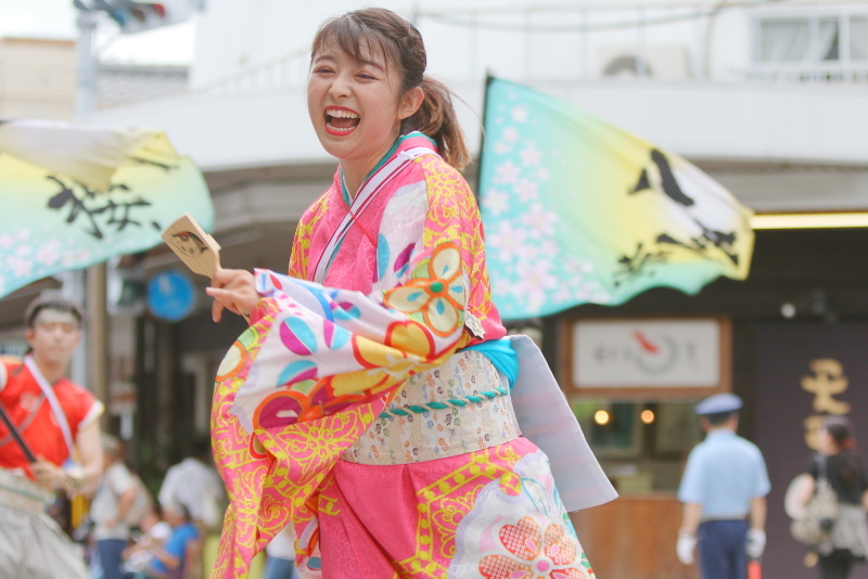 第66回よさこい祭り 本番2日目 愛宕競演場 奈良市役所チーム八重櫻 その2_a0077663_18240692.jpg