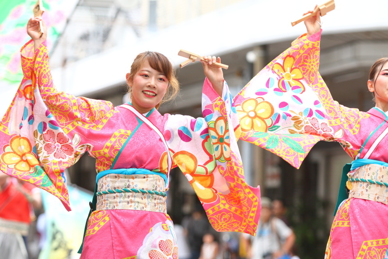 第66回よさこい祭り 本番2日目 愛宕競演場 奈良市役所チーム八重櫻 その2_a0077663_18240695.jpg