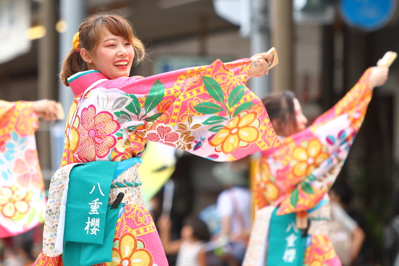 第66回よさこい祭り 本番2日目 愛宕競演場 奈良市役所チーム八重櫻 その2_a0077663_18240697.jpg