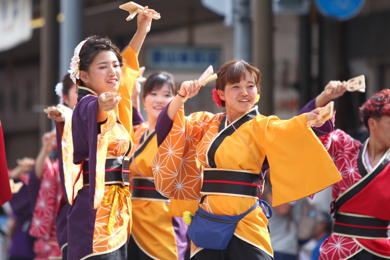 第66回よさこい祭り 本番2日目 愛宕競演場 学生団体コンパスよさこいチーム叢雲 にゃお吉の高知競馬 応援写真日記 A 高知の美味しいお店