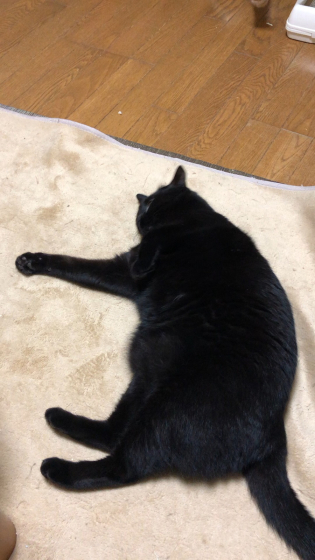 泥酔_e0355177_18404984.jpg