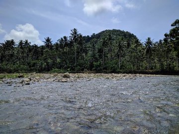 a0067578_19131047.jpg