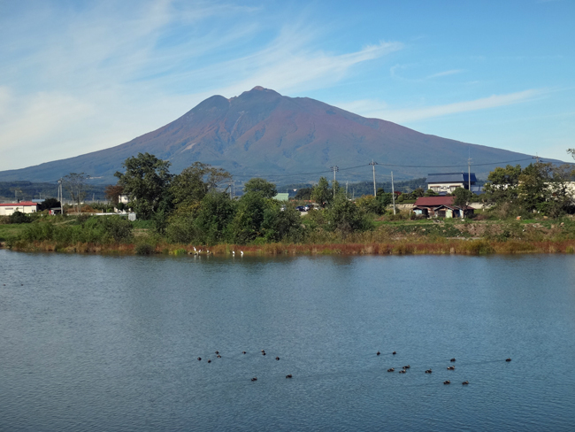 赤く色づいた岩木山と周辺の田んぼ、岩木川など_a0136293_17232376.jpg