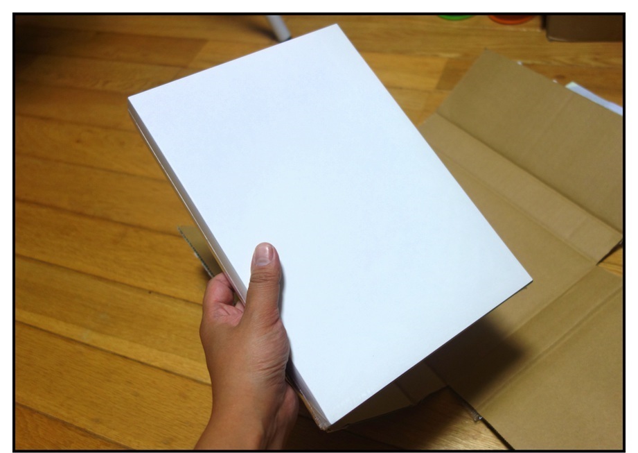 【神羅無限雑記#?】界顧録が届きました!!_f0205396_18582133.jpg