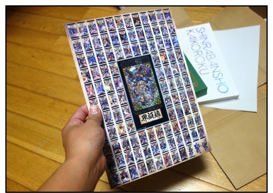 【神羅無限雑記#?】界顧録が届きました!!_f0205396_19171227.jpg