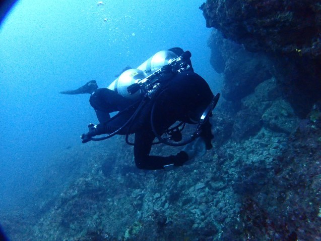 e0115199_12234393.jpg