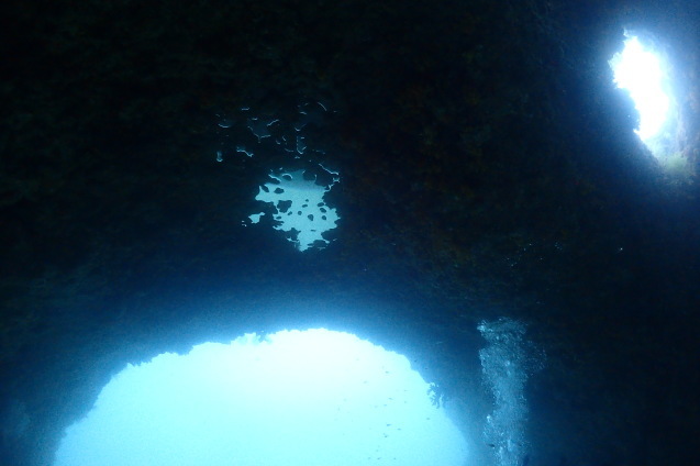 e0115199_14064013.jpg