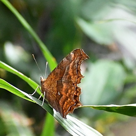 f0340732_20000017.jpg