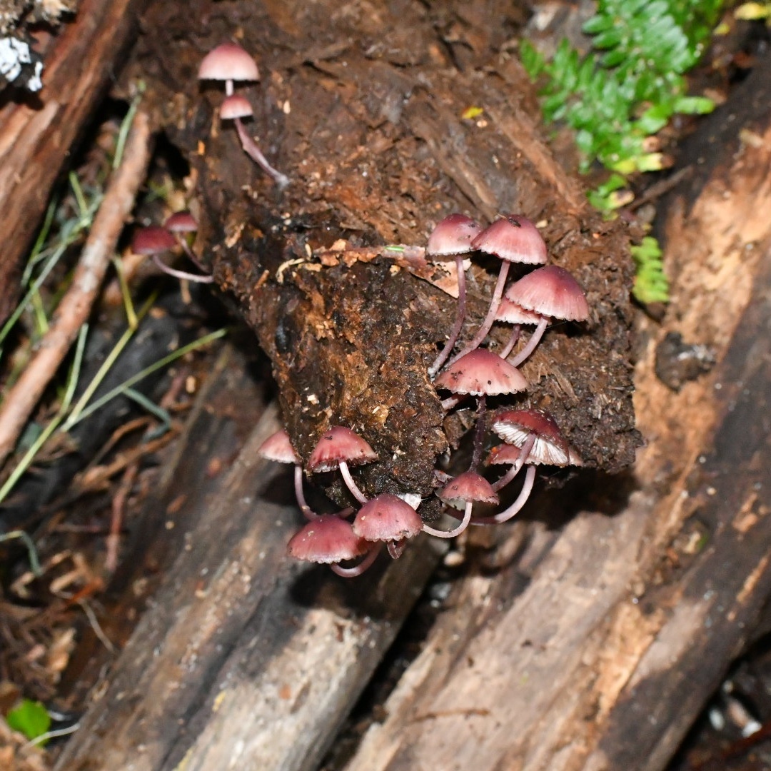 f0340732_20080912.jpg