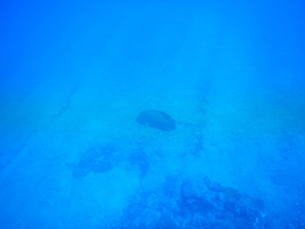 a0189838_09115568.jpg