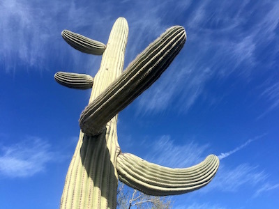 c0109850_17292197.jpg
