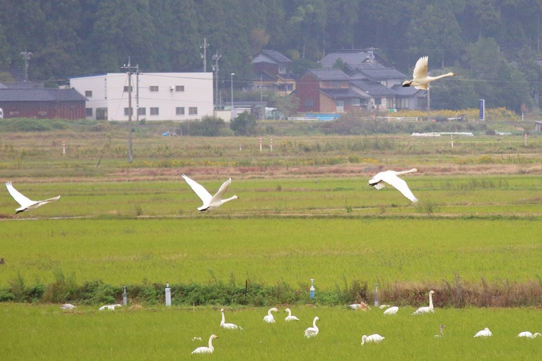 e0403850_18094464.jpg