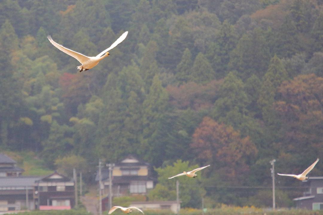 e0403850_18094523.jpg