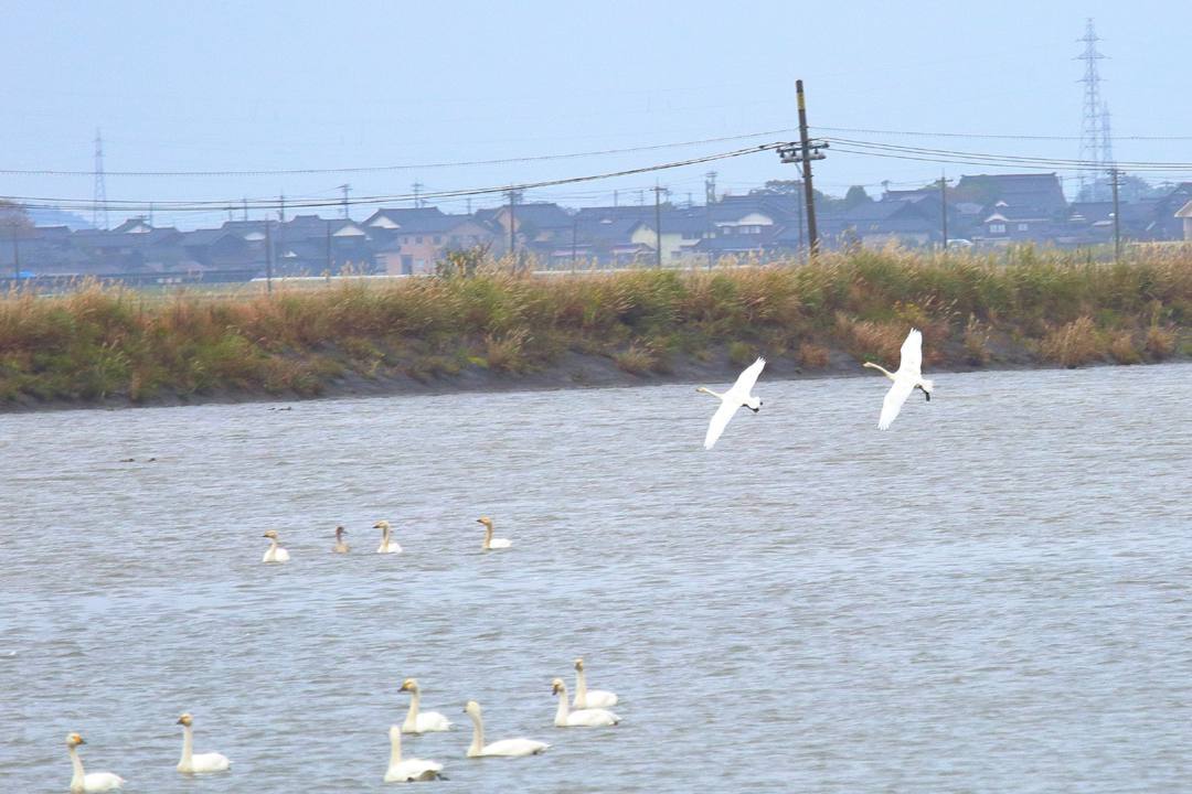 e0403850_18094555.jpg