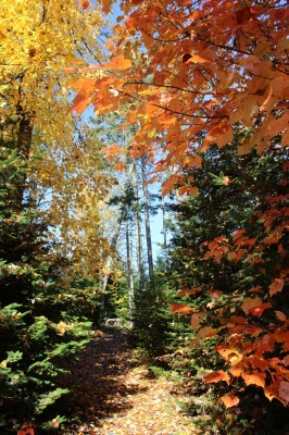紅葉_c0353373_03233682.jpg