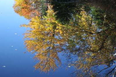 紅葉_c0353373_03234394.jpg